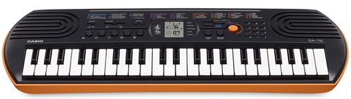 [5669] Teclat CASIO SA-76